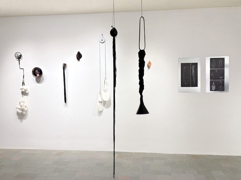 L'Ombre du corps, 2026. Procédés mixtes. Galerie Le Trécarré, N-É. Photo C Patenaude