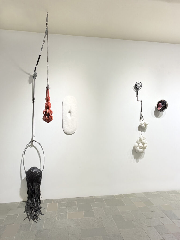 L'Ombre du corps, 2026, procédés mixtes. Galerie Le Trécarré, N-É. Photo C Patenaude // 2025. Chambre à air, clous, fichoir, fil d’acier, poulie. 59 x 32 x 16 cm. // 2026. Ballon de gym, laine d’acier, poulie. 14 cm dia. x 48 cm. // 2023. Plâtre. 65 x 23 x 4 cm // 2026. Ventilateur, élastique, caoutchouc, plomb, manille, bourre. 120 x 23 x 15 cm // 2025. Argile, acrylique, bol d’acier inox. 22 cm dia. x 11 cm