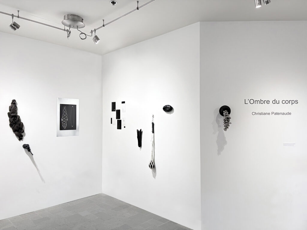 L'Ombre du corps, 2026. Procédés mixtes. Galerie Le Trécarré, N-É. Photo C Patenaude