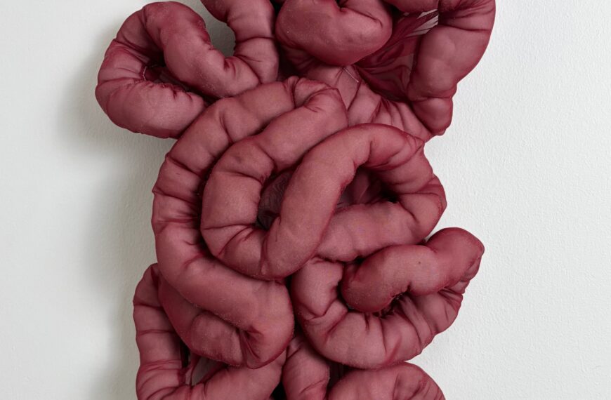 Volubile 2, 2026. Tissu, bourrure, fil d’acier galvanisé. 28x58x11 cm. Galerie B-312, Montréal. Photo C Patenaude